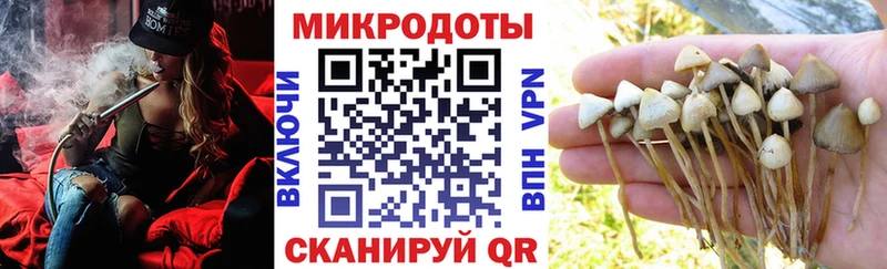 OMG ссылка Боровск Псилоцибиновые грибы GOLDEN TEACHER